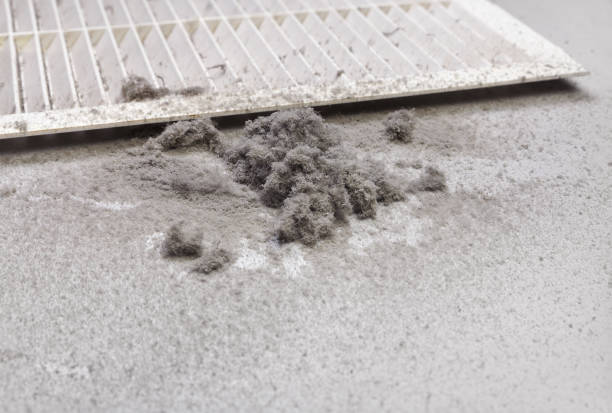 Best Affordable HVAC Duct Cleaning  in Great Falls, MT