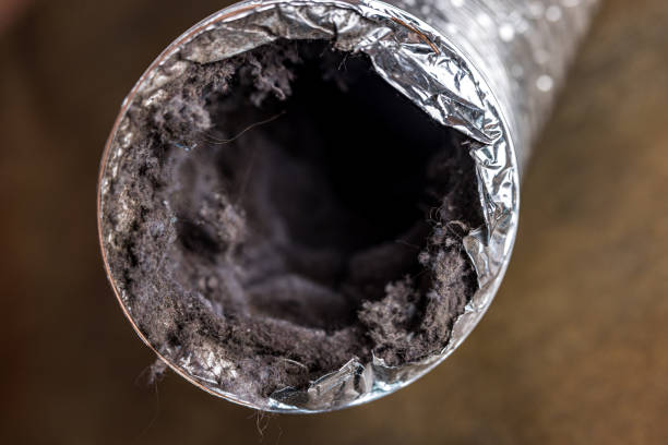 Best Air Duct Cleaning Near Me  in Great Falls, MT